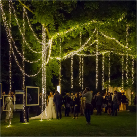 Guirlande - Lumières pour Fêtes