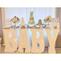 Location Déco Anniversaire, Baby Shower & Gender Reveal Party